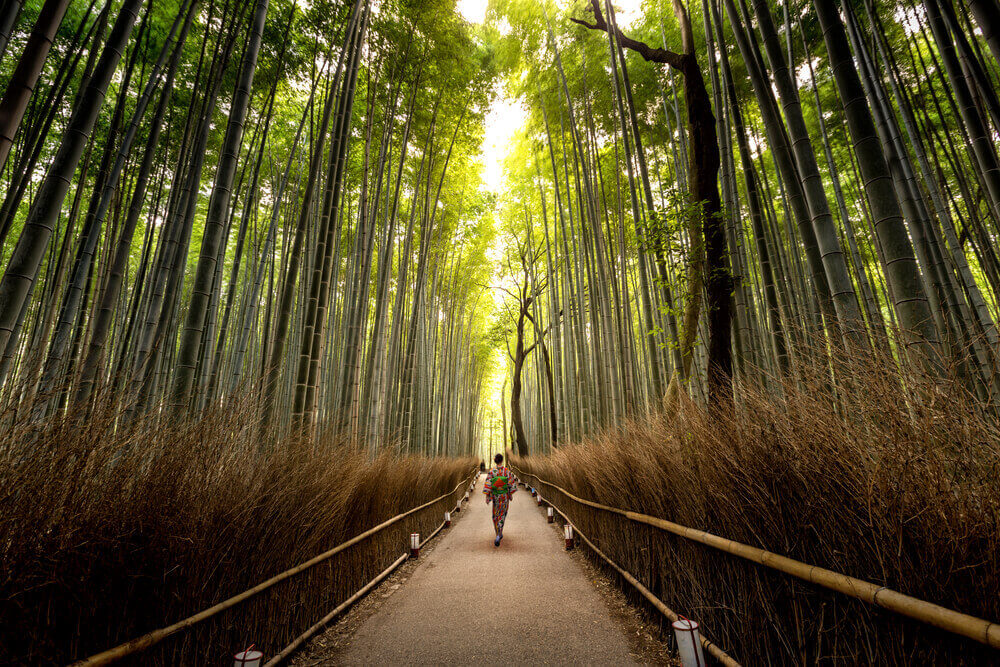 Arashiyama area in Autumm ,Kyoto Japan. touring plans