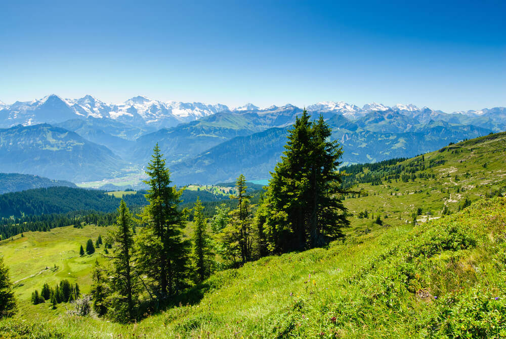 Panorama from Niederhorn in summer, Switzerland