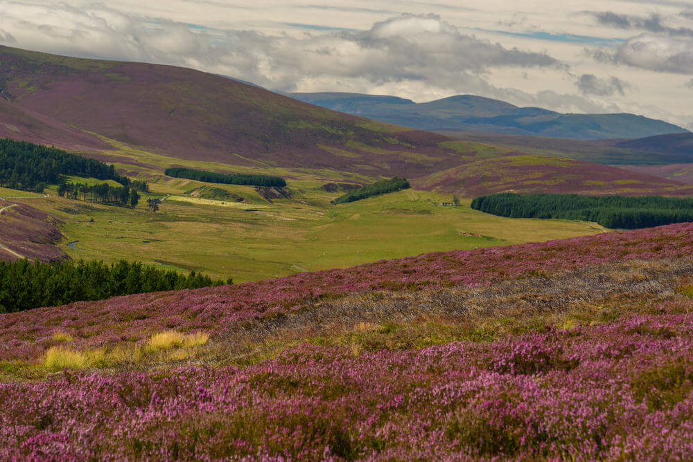 breathtaking landscapes in Europe. Scenic view of the beautiful nature of Cairngorms National Park in Scotland in summer