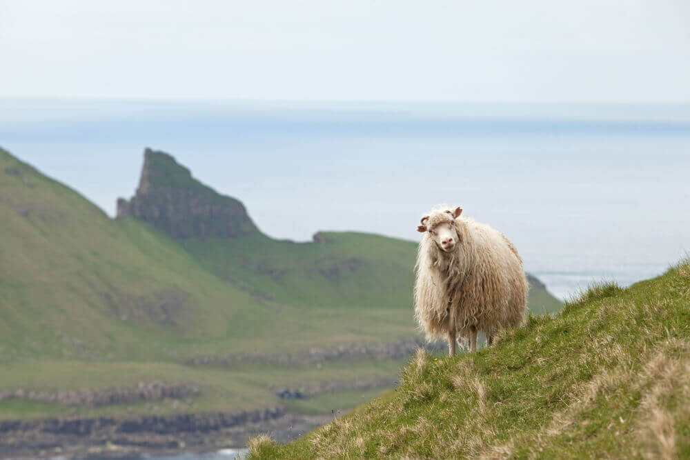 breathtaking landscapes in Europe. Faroe Island, Denmark