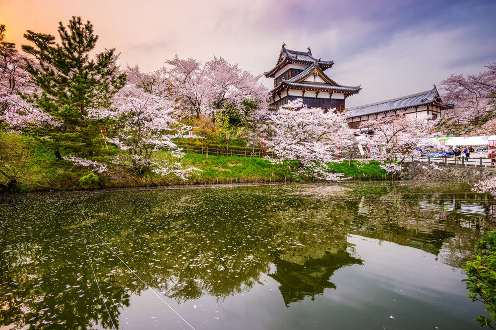 Nara, Japan at Koriyama Castle in the spring season, best places to visit in japan