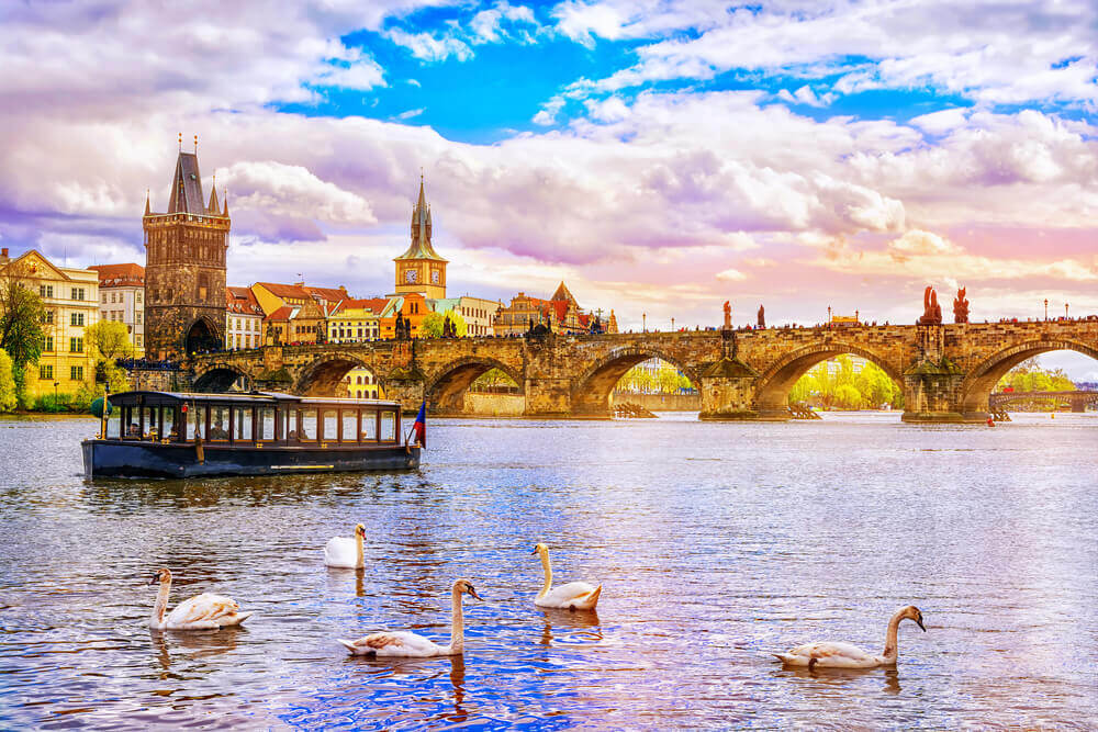 Swans floating on the Vltava River, Prague. Europe trip planner tool. 