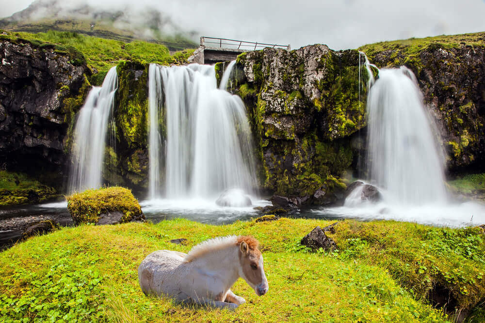 Kirkjufellsfoss Falls, Iceland. Europe trip planner tool